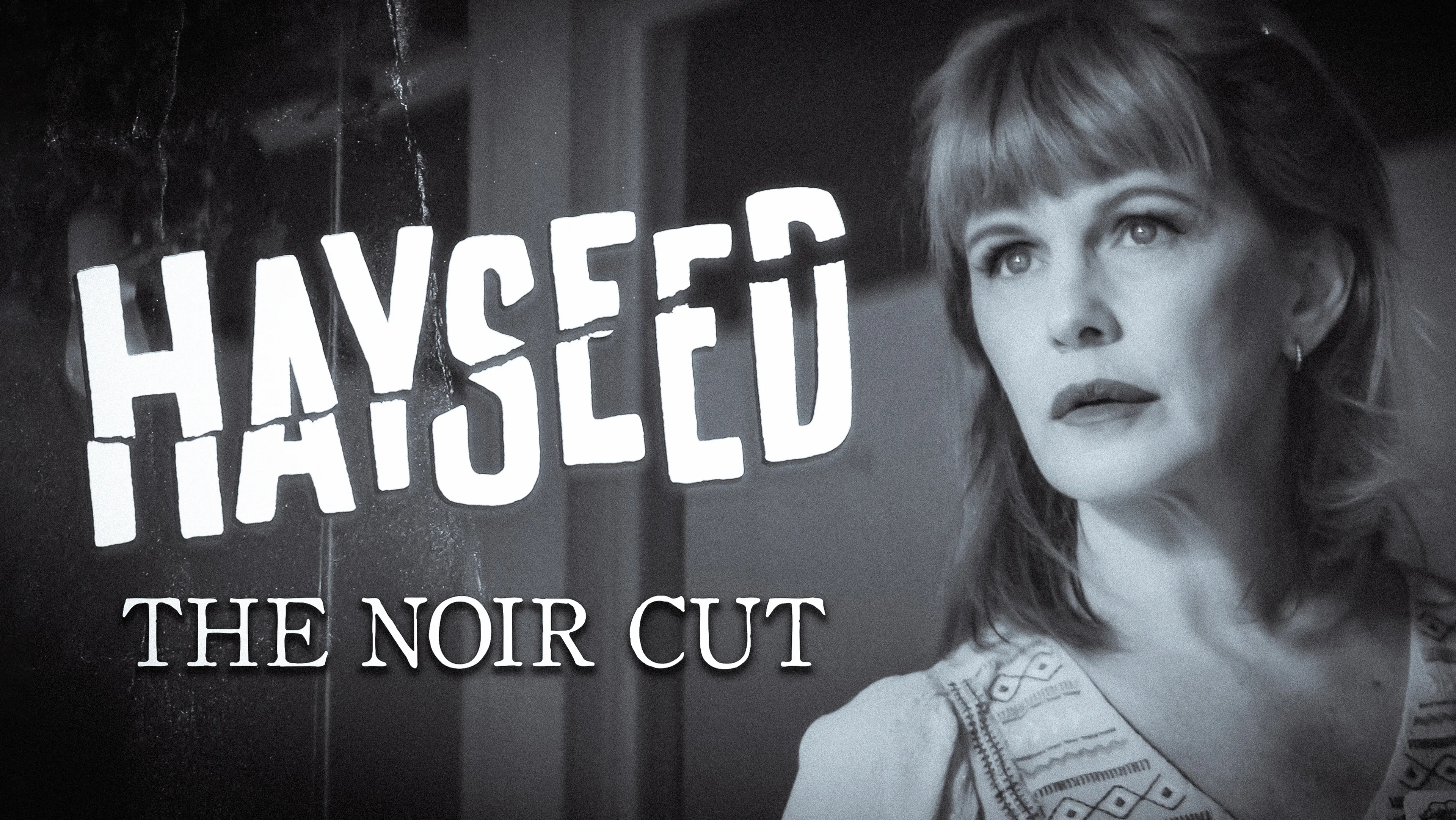 Hayseed: The Noir Cut poster